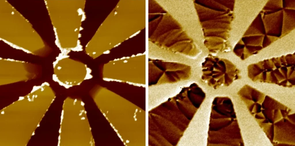 Permalloy device topography and MFM phase signal, 20 micron scan
