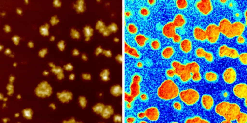 AFM scan of a perovskite film: HD-KFM topography and surface potential, 40 µm