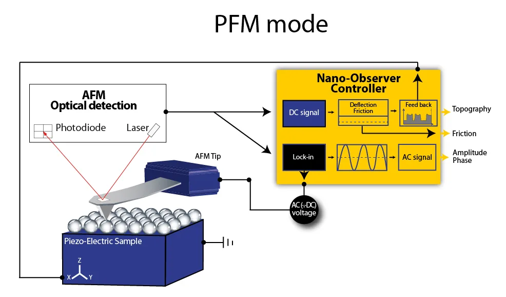 PFM mode atomic force microscopy