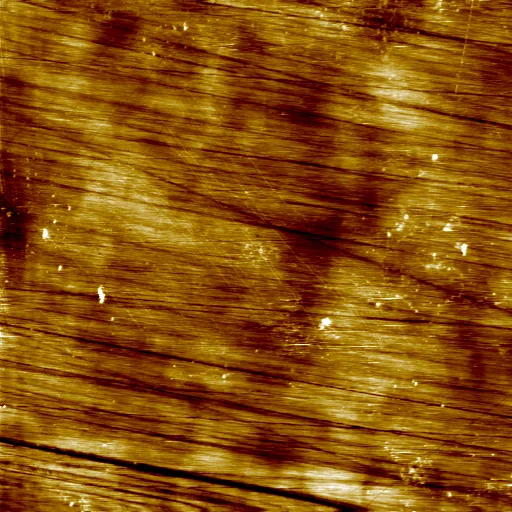 PZT sample, topography, 10 µm