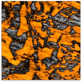 Polished PZT sample (PFM)
