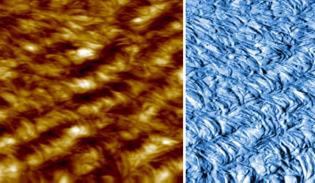 AFM scan of polyethylene: resonant mode topography and phase, 5 µm