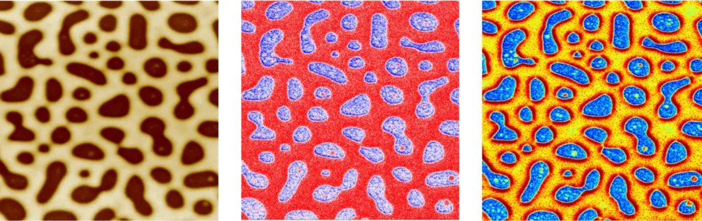 PS-PMMA polymer blend in force modulation mode: topography, amplitude and phase, 5 micron