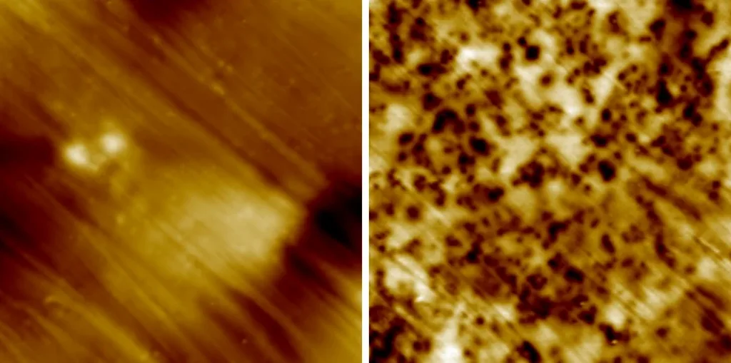 Polymer with magnetic particles, topography and MFM signal measured with EFC, 8 micron scan