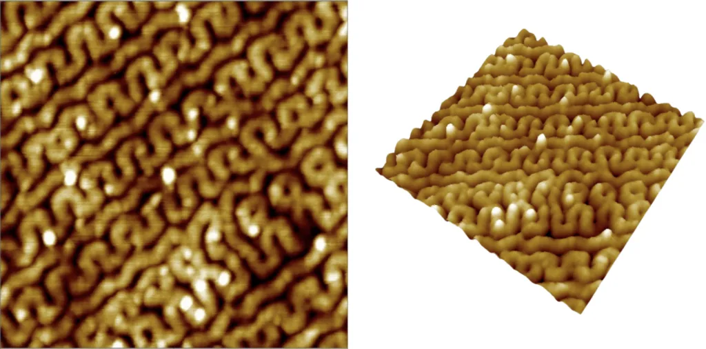 Polymer Membrane (Resonant mode · 0.5x0.5 µm)