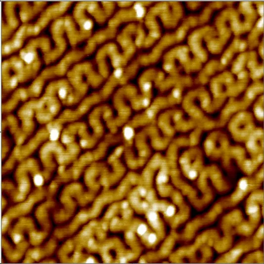 Polymer membrane (Resonant Mode · 0.5x0.5 µm)