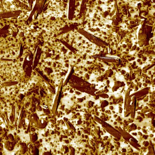 Rubber (Phase Imaging · 10x10 µm)