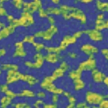 AFM scan of a P3HT organic film: Soft ResiScope resistance map, 5 µm scan