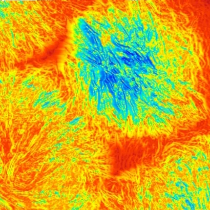 Spherulites on Tapping Mode Scan size 20µm x 20 µm