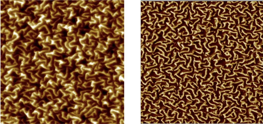 Polymer composite with carbon fillers, topography and phase, 5 micron