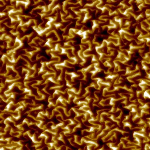 Structured Polymer (Resonant Mode · 5x5 µm)
