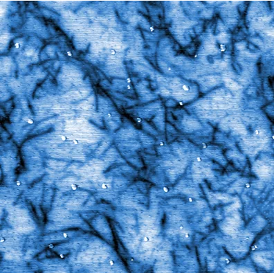 Surface potential image of alternatively biased areas on ZnO thin layer (40x40 micron scan size)