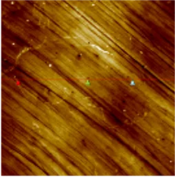 Topography (30µm)