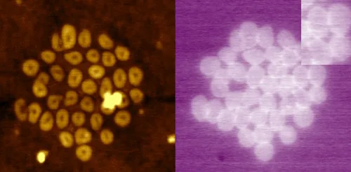 Topography and surface potential of fluoroalkenes molecules