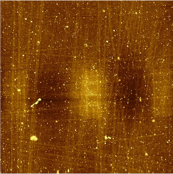 Topography (Metallic structure embedded on epoxy)