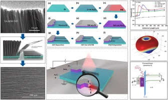 Validating Nanoscale Conductivity in HA-MWCNT Rectennas – Engineering Selective Terahertz Photodetection