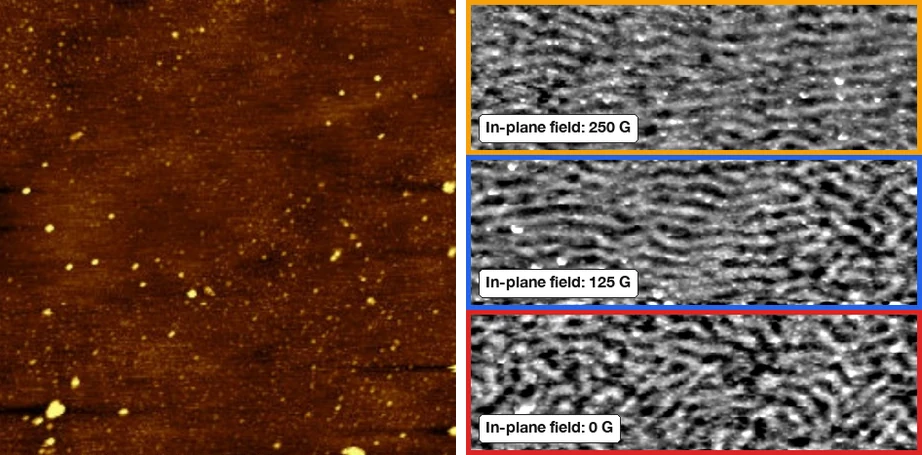 Thin magnetic film on silicon, topography and MFM signal with in-plane field changed from 250 G to 125 G to 0 G during the scan, 5 micron