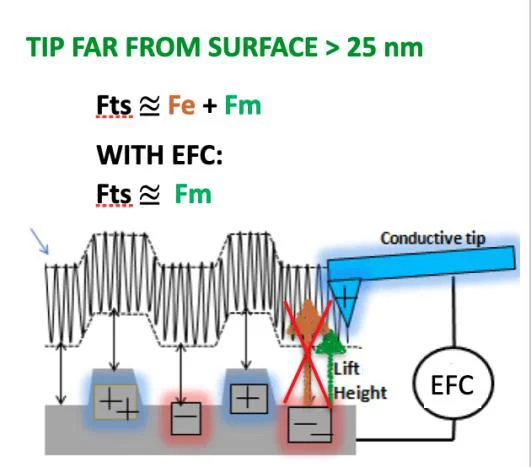 Schematic of Electric Field Cancelling: with EFC the tip-sample force reduces to the magnetic force