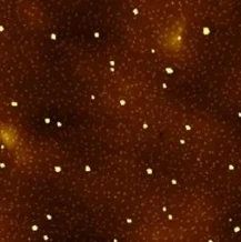 Polymer with nanotubes: topography shows only surface particles